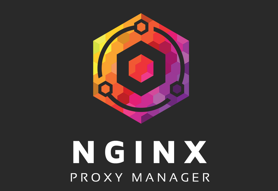 nginxProxy